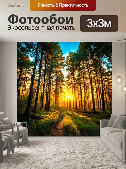 Фотообои сказочные закаты через деревья, яркие цвета неба, атмосфера спокойствия
