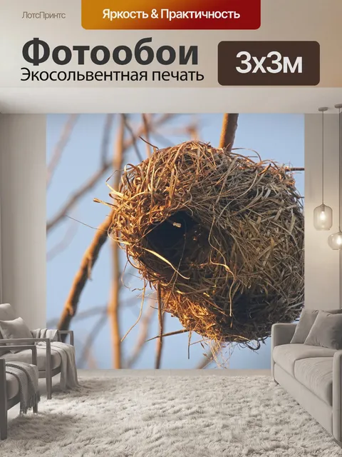 Фотообои золотой свет на гнезде ткача