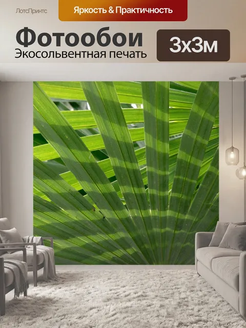 Фотообои Пальмовые листья