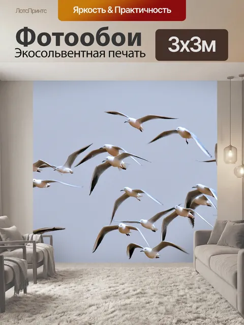 Фотообои Птицы
