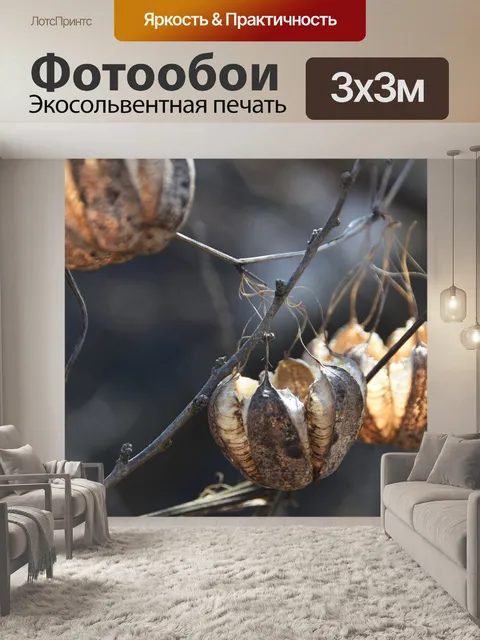 Фотообои Фрукты