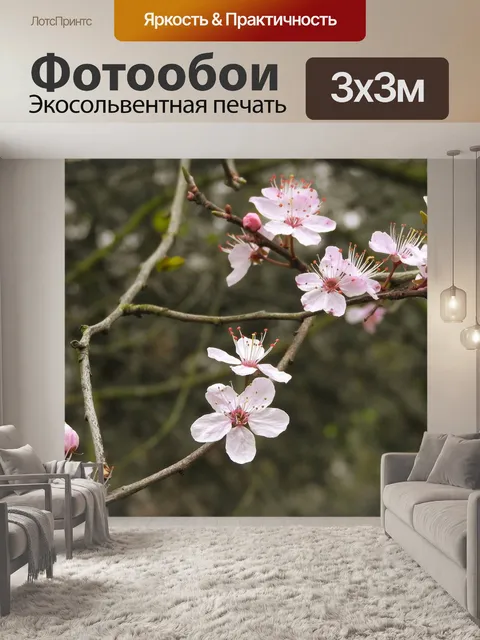Фотообои Розовые цветы
