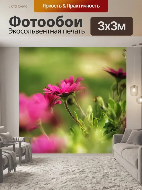 Фотообои Маргаритка