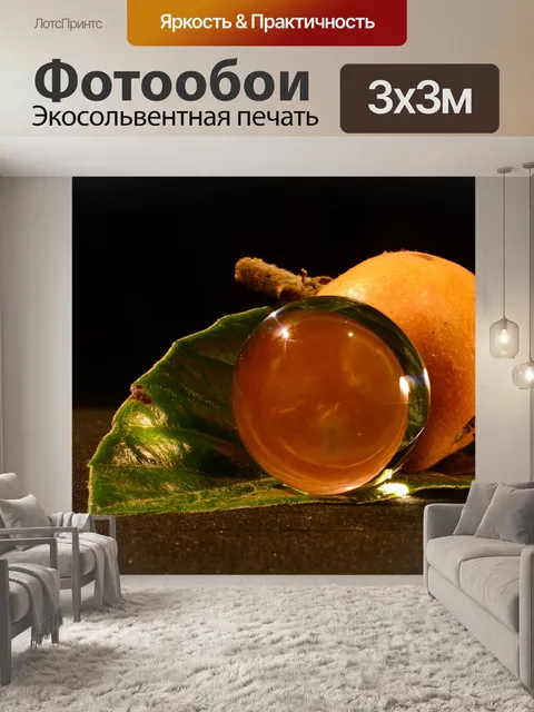 Фотообои Сочинение