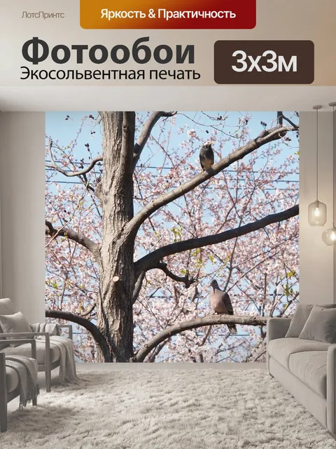 Фотообои Голубь
