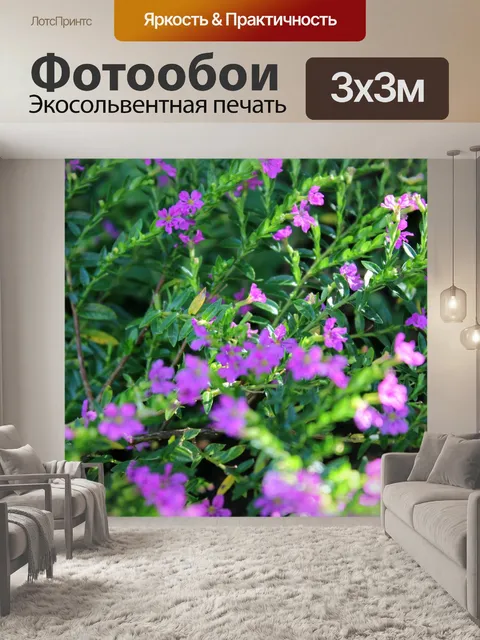 Фотообои фиолетовыми цветами