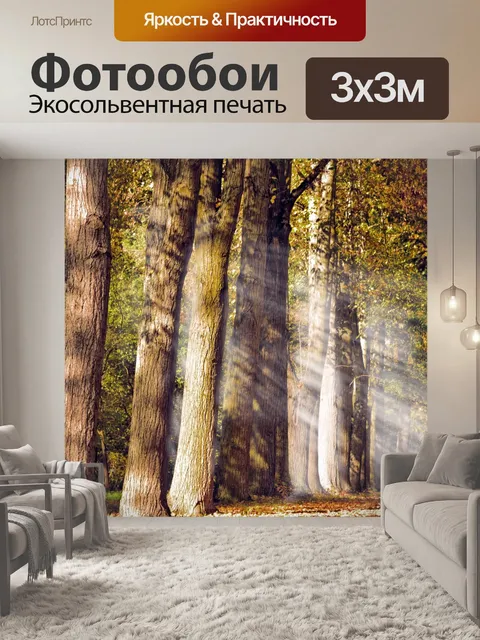 Фотообои Проспект