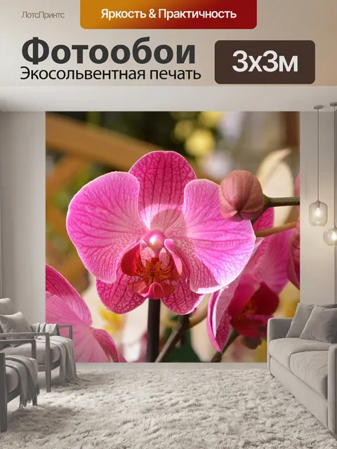 Фотообои Цветы
