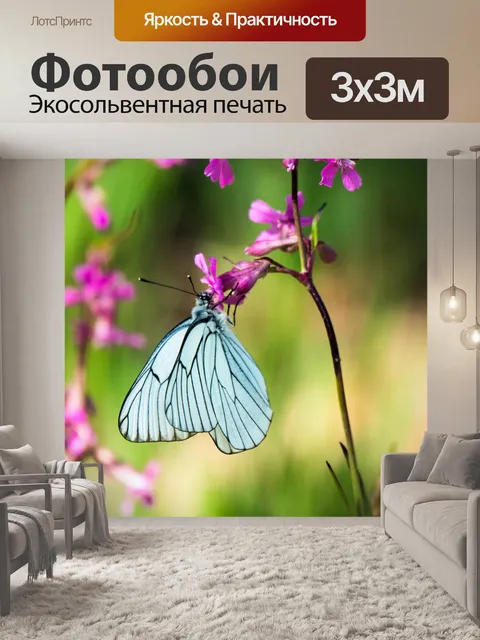 Фотообои Дерево белая бабочка