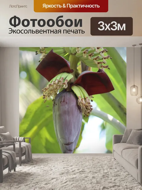 Фотообои Еда