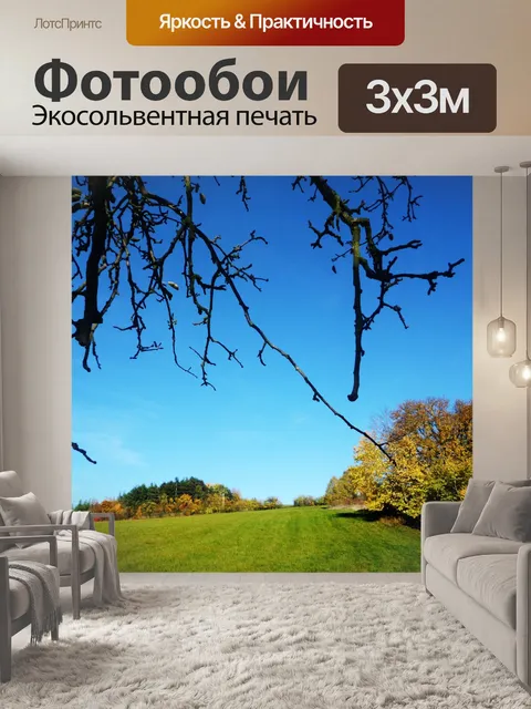 Фотообои Страна