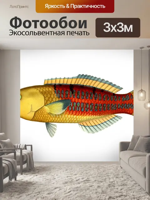 Фотообои Рыба Винтаж Живопись Клипарт