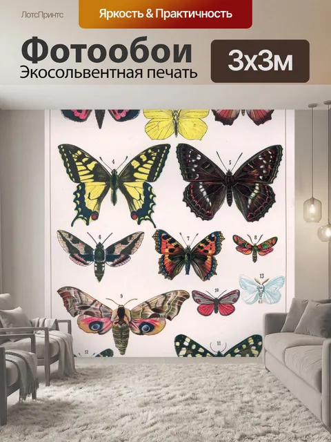 Фотообои Папийон бабочка винтаж старый