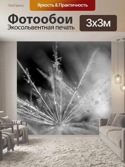 Фотообои Капли