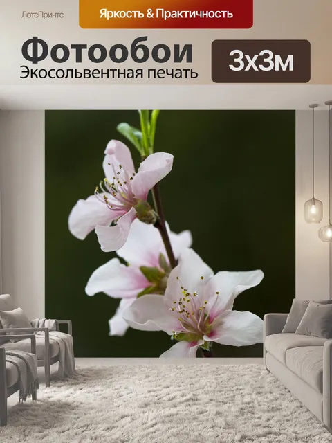Фотообои Цветы