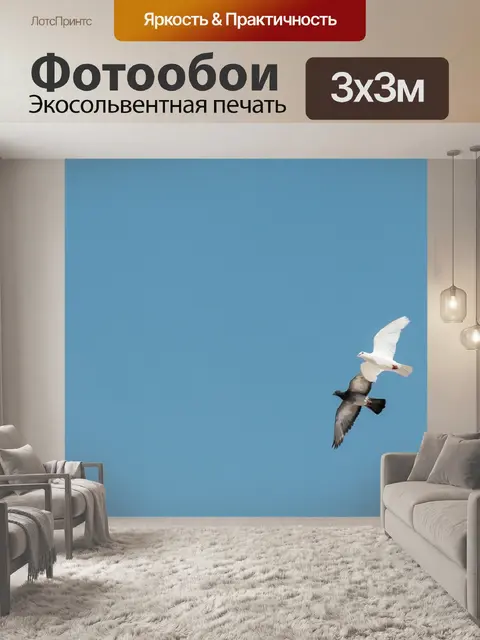 Фотообои Летающий
