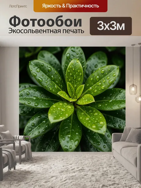 Фотообои Зеленые листья с каплями воды