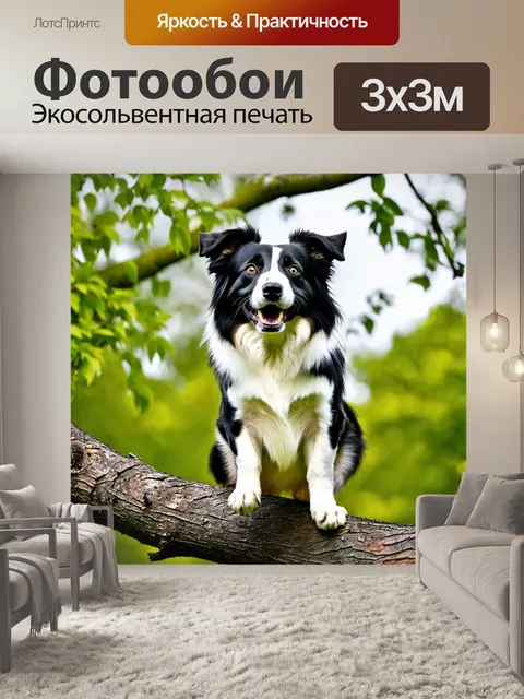 Фотообои бордер-колли, стоящий на ветке дерева, ухмыляясь