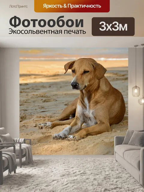 Фотообои Собака