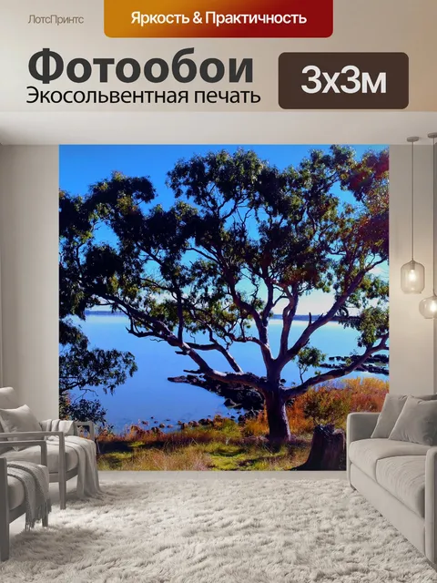 Фотообои Озеро с деревом Австралия