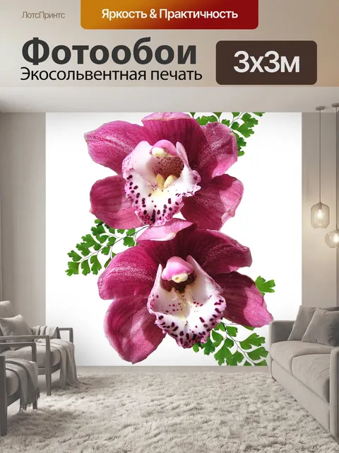 Фотообои Орхидеи