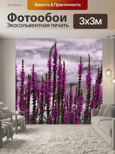 Фотообои Цветок