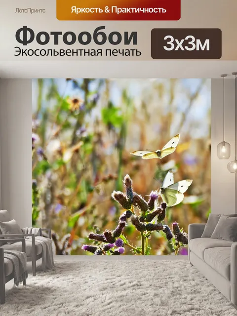Фотообои Бабочки