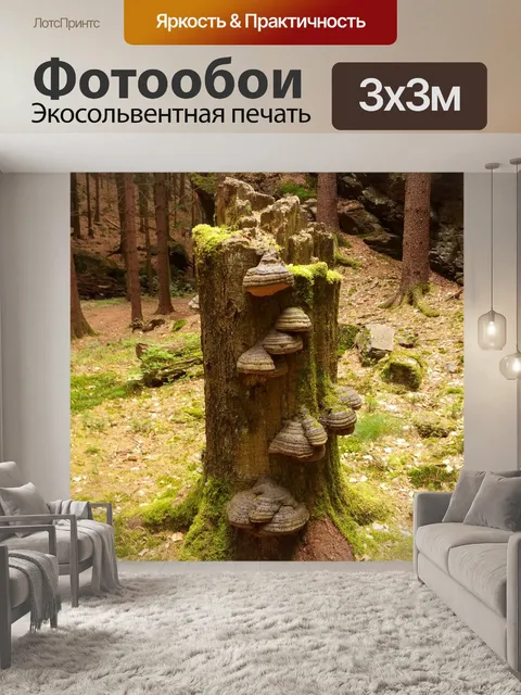 Фотообои Дерево