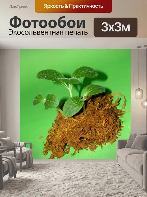 Фотообои Молодое дерево