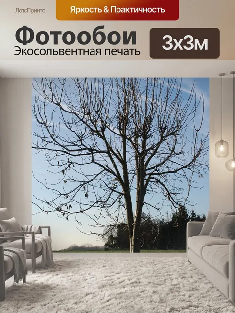 Фотообои Дерево