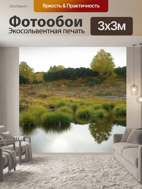 Фотообои Лес