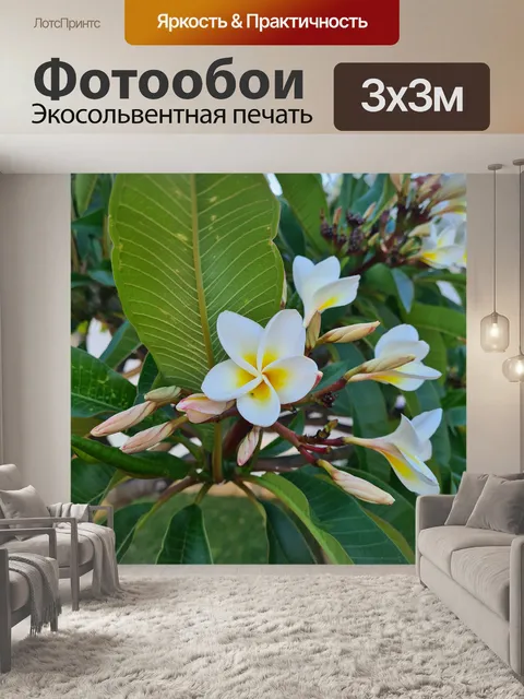 Фотообои Франжипани желтый и белый