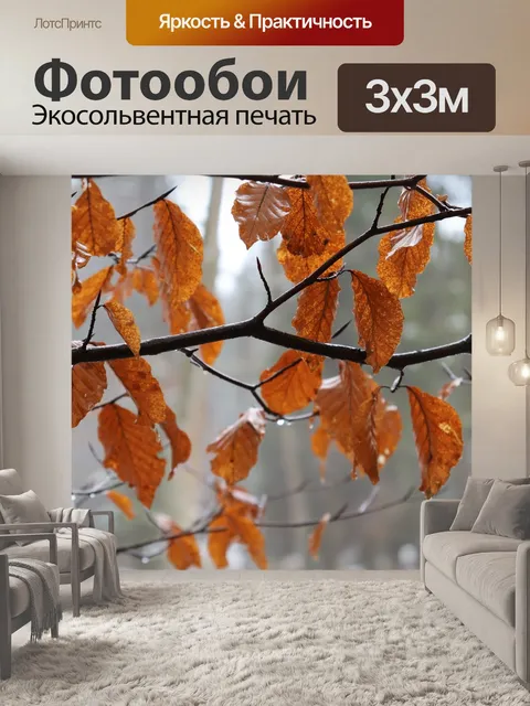 Фотообои Зима
