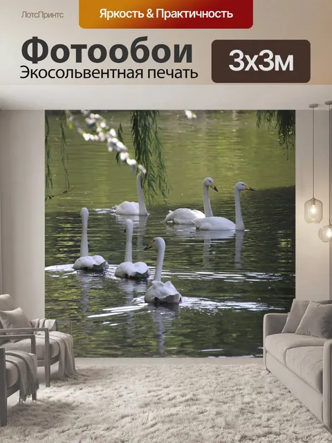 Фотообои Лебеди