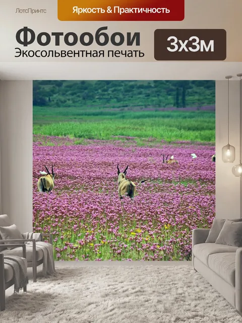 Фотообои стадо кантри с розовыми цветами