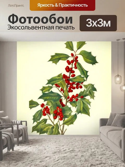 Фотообои Ягоды красная ветка винтаж