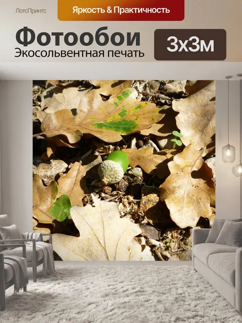 Фотообои Природа