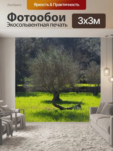 Фотообои Оливковое дерево
