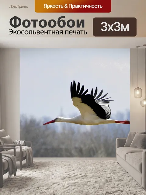 Фотообои Аист
