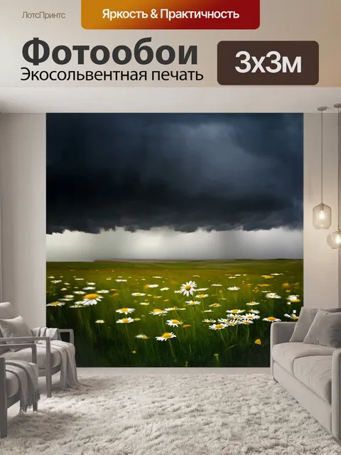 Фотообои луговые ромашки, цветок, расцветает во время грозы, среди темных облаков и сильных ветров, в стиле dramatic…