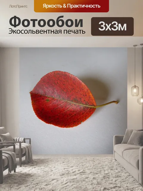 Фотообои Лист