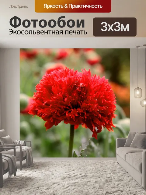 Фотообои Маки