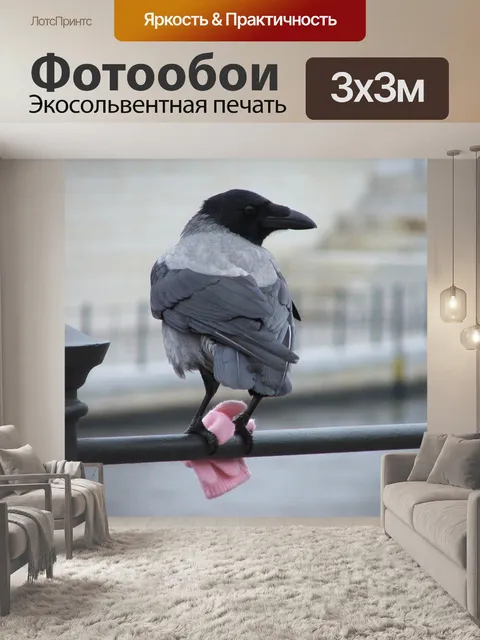 Фотообои Птица