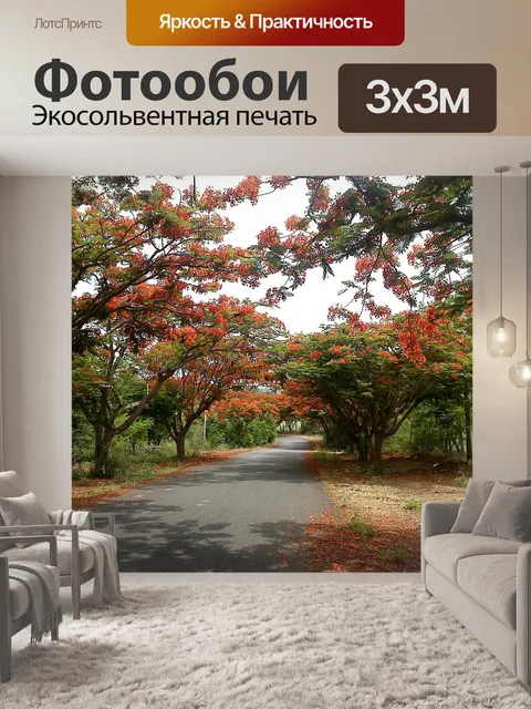 Фотообои Дорога