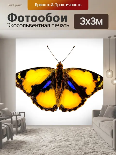 Фотообои Природа