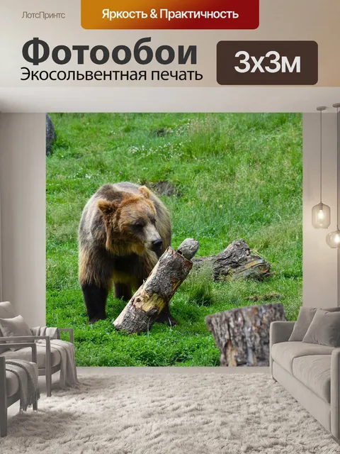 Фотообои Нести