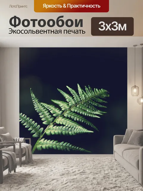 Фотообои Папоротник