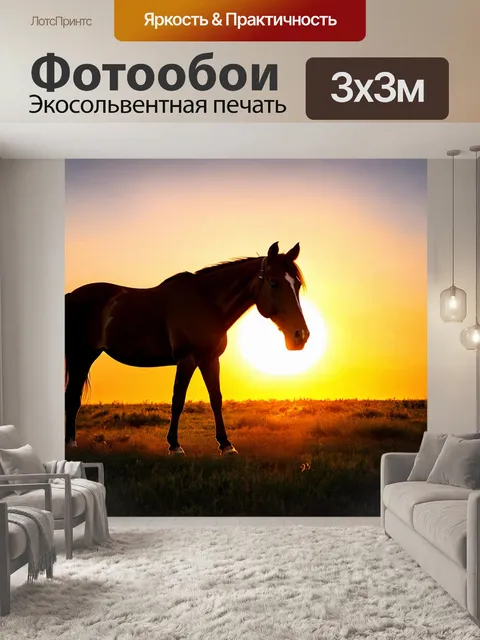 Фотообои лошадь на фоне заката
