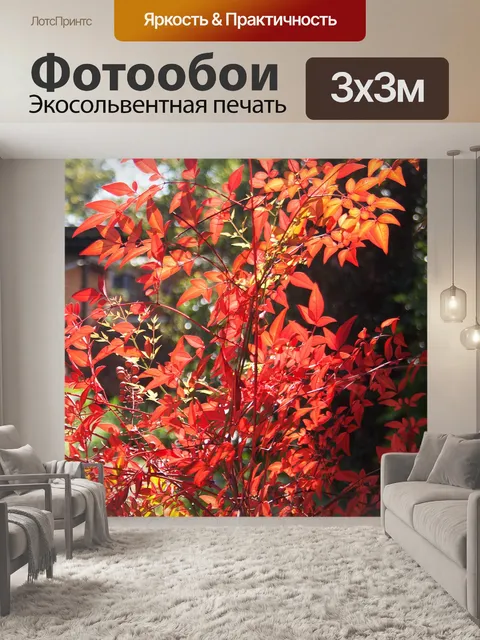 Фотообои яркая ржавая листва