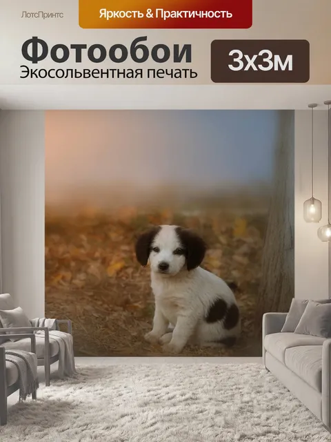 Фотообои Собака
